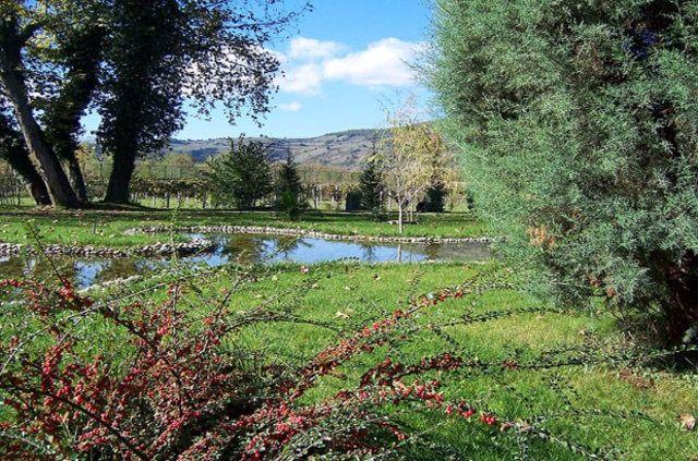 <p>Arboretum<br />
Zonguldak Gökçebey Bakacakkadı beldesi</p>