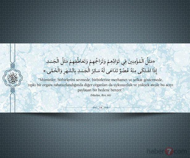 <p>"Müminler, birbirlerini sevmede, birbirlerine<br />
merhamet ve şefkat göstermede, tıpkı bir organı<br />
rahatsızlandığında diğer organları da uykusuzluk<br />
ve yüksek ateşle bu acıyı paylaşan bir bedene<br />
benzer." (Müslim, Birr, 66)</p>

<p> </p>
