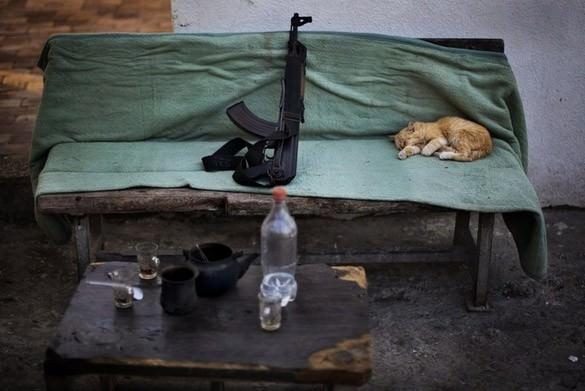 Gazze`de Hamas`ın güvenlik bölgelerinden birinde bir kedi korkusuzca uyumaya devam ediyor. 