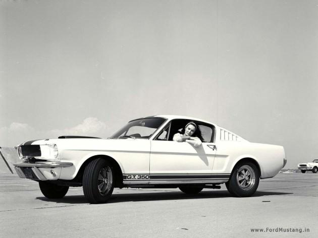 <p>Shelby Mustang 1965</p>