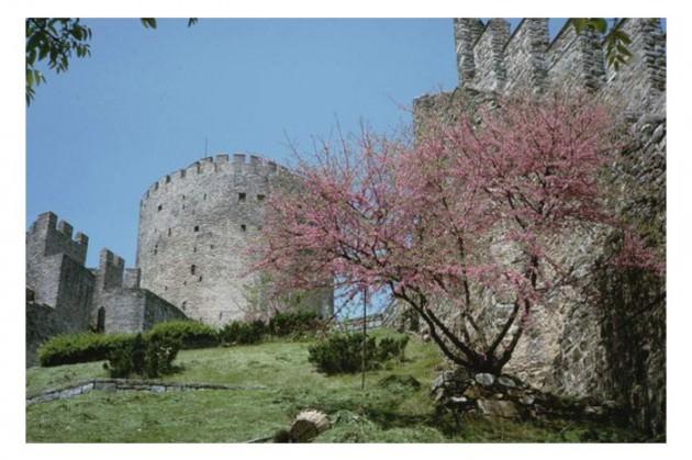 <p>Indiana Üniversitesi, Charles W. Cushman fotoğraf koleksiyonundan eski İstanbul fotoğrafları çıktı. Günümüze kıyasla daha tenha görülen İstanbul'un bu fotoğrafları 1965 yılında çekilmiş.</p>