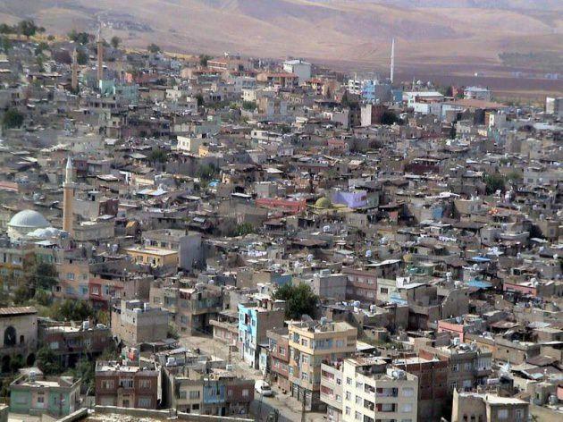 <p>Siirt - 19 adet</p>