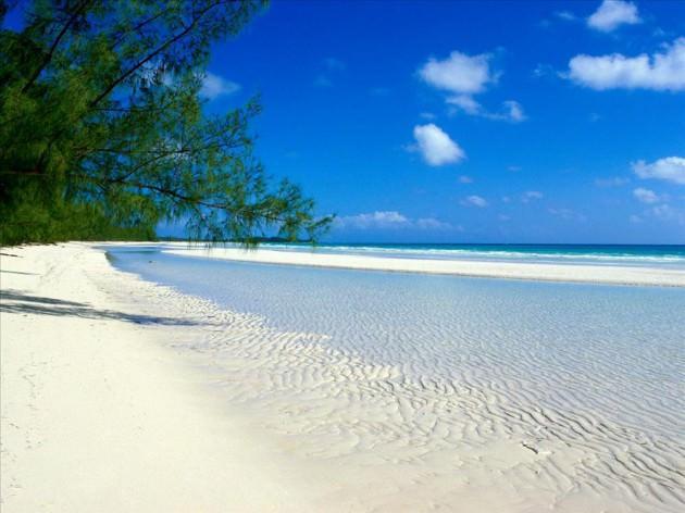 Bahamalar
