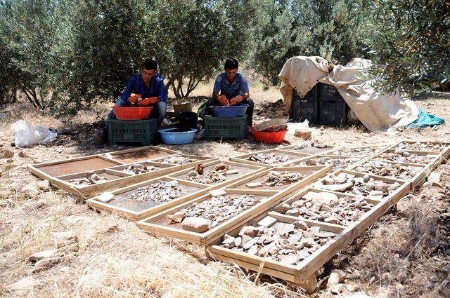 <p><strong>GÖKTUĞ HALİS (Simgebilimci ve yazar): ‘Dini bir kutsama ayini’</strong></p>
<p>“Kafataslarına delikler açılması ve bunun hasar vermeden yapılması bir kafatası kültürünün ve dini ayinlerin olduğunu gösterir. </p>