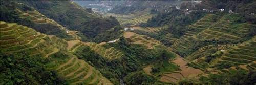 <p>Banaue Pirinç Terasları / Filipinler</p>
