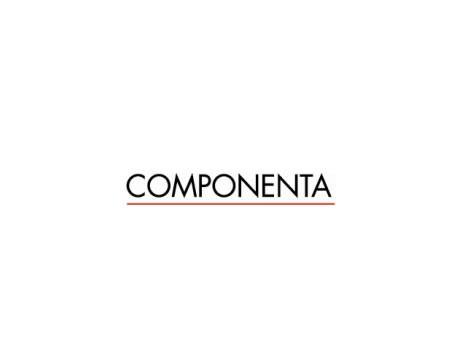 Componenta Dökümcülük Tic. ve San. A.Ş. Toplam çalışan sayısı: 2.542 Orhangazi (Bursa)