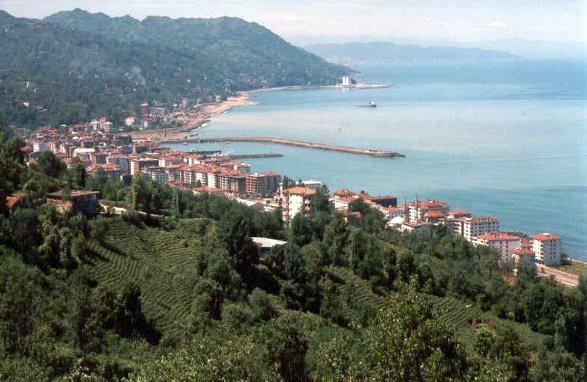 <p>Çayeli (Rize) - 18 adet</p>