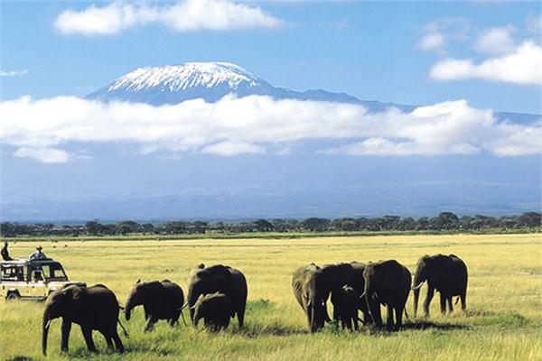 <p><strong>Kenya</strong><br /> Rüşvet verme oranı yüzde 70 ile listenin en üst sıralarında yer alan ülkelerden.</p>