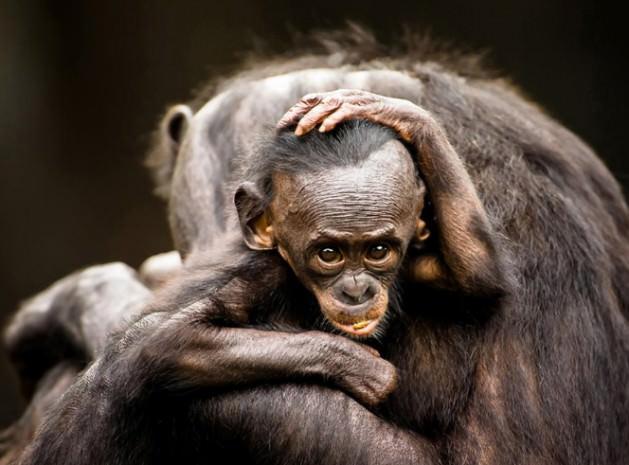 Graham McGeorge