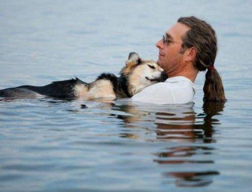 <p>John Anger adlı bir adam, 19 yıllık köpeğinin romatizmal ağrılarını azaltıyor diye, her gece, rahat uyuması için onu göle götürüyor.</p>
