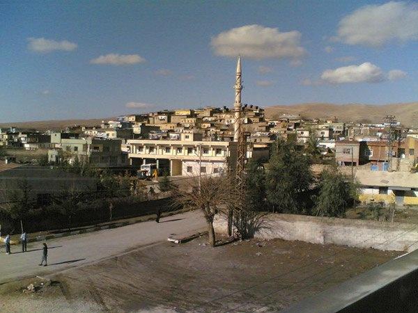 <p>Nusaybin (Mardin) - 16 adet</p>