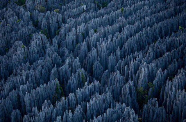 <p>Taş Ormanı, Madagaskar</p>

<p> </p>

