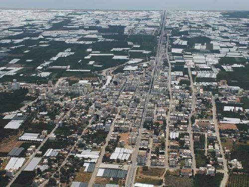 <p>Kumluca (Antalya) - 15 adet</p>