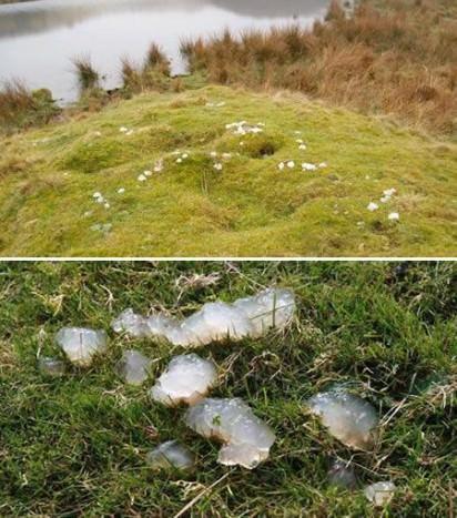 <p>Jel şeklinde yağmur; İskoçya 2009 yılında İskoçya’da yere jel şeklinde yağmur taneleri düştü. Bir teoriye göre kurbağa yumurtalarını yiyen şahin ve akbabalar bu yumurtaları havada uçarken kustular.</p>