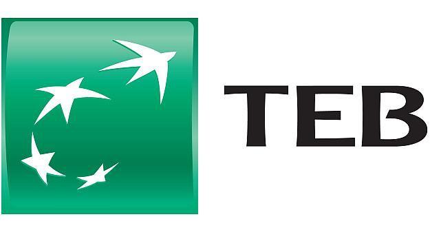 <p><strong>TEB BANKASI<br /></strong>411 milyon dolar </p>