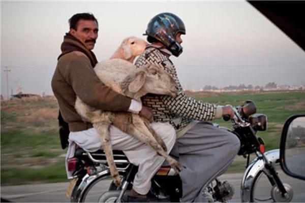 <p>18-Pakistan</p>
<p>Pakistan 2050'de 3,33 trilyon dolarlık ekonomisiyle dünyanın en büyük 18'inci ekonomisi olacak.</p>