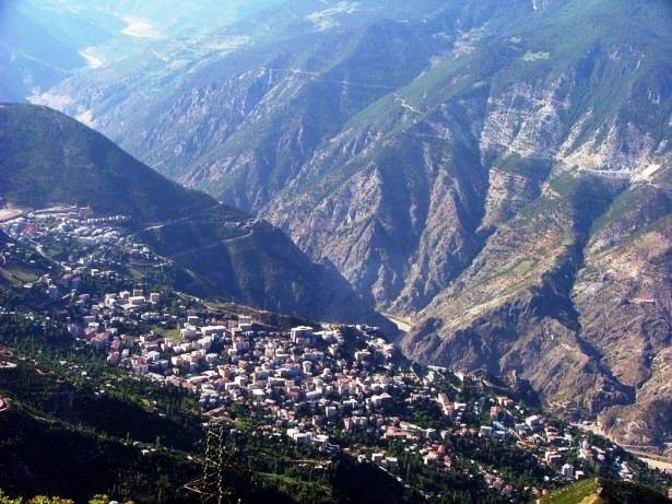 <p>Artvin - 83 bin 180 kişi </p>
