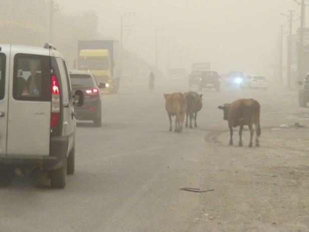 <p>Kişi başına en az otomobilin düştüğü il ise Şırnak. 475,2 bin nüfuslu Şırnak'ta 3 bin 465 adet araç var ve kentte her 137 kişiden biri otomobil sahibi.</p>
<p> </p>