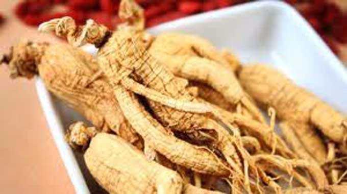 <p>Ginseng bitkisinin fayda sağladığı diğer sağlık sorunlarından bazıları :</p>

<p> </p>
