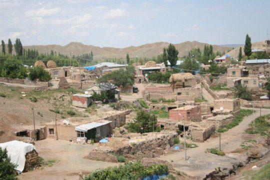 <p>Tuzluca(Iğdır) - 14 adet</p>