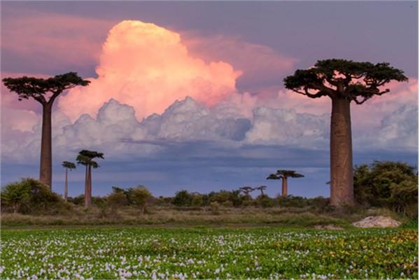 <p><strong>Madagaskar</strong><br />Rüşvet verme oranı yüzde 28.</p>