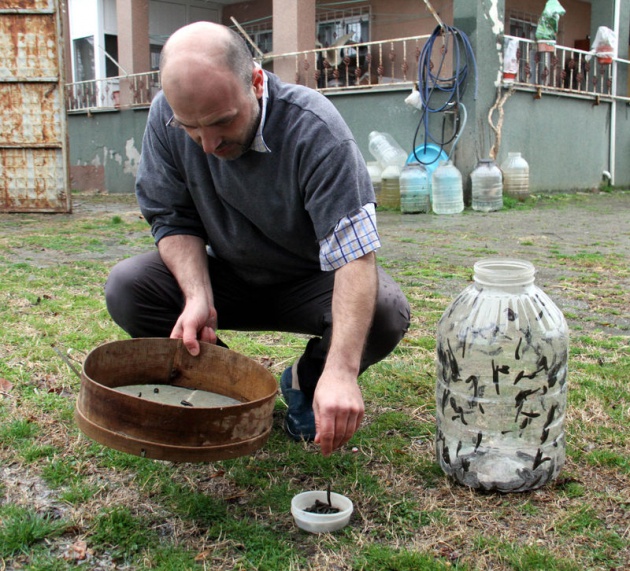 Bafra ve 19 Mayıs ilçelerinde sülük üretimi yapıldığını vurgulayan Güven, dünyada tıbbi sülük olarak bilinen ve alternatif tıpta kullanılan sülüklerin kilogramının yaklaşık bin dolar civarında olduğuna işaret etti.