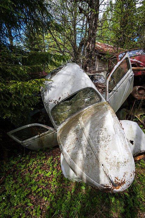 <p>Belçika'nın Chatillon köyündeki ormanda terk edilen yüzlerce eski araç, ormanı adeta araba mezarlığına çevirmiş.</p>