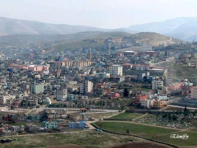 Siirt: 310.879