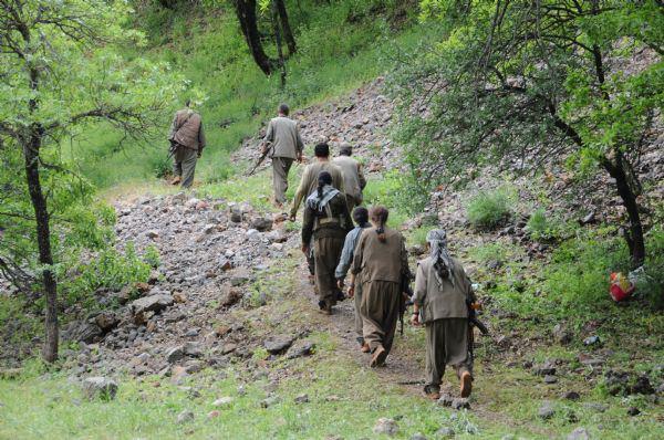 <p>PKK'lılar açıklamalarını yaptıktan sonra geri çekilmek için yürüyüşe geçti. PKK'lılar, güvenlik gerekçesiyle Aliboğazı'na kimsenin gelmemesi isteyerek, bölgede çok sayıda mayın bulunduğunu söyledi.</p>