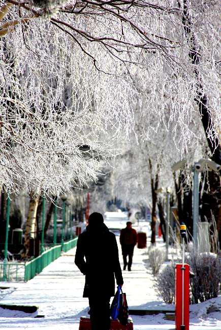 <p>Meteoroloji 12. Bölge Müdürlüğü'nden alınan bilgiye göre, Karadeniz üzerinden gelen Sibirya yüksek basınç sistemi altına giren bölgede, gece saatlerinde sis etkili olacak.</p>