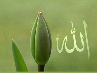 <p>-Bilmem.<br />-O zaman buradan geçse, sen onu tanıyamazsın.<br />-Doğru, nasıl da akıl edemedim.</p>