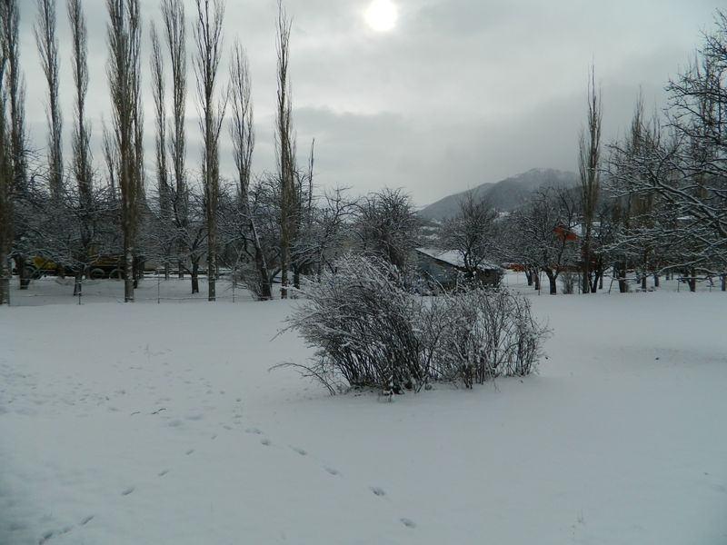 <p>Ardahan</p>
