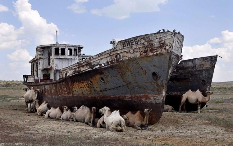 <p>Moynak’ın bu hale gelmesine yol açan şey ise, Sovyetler Birliği döneminde Rusların Aral Gölü’nü bir su deposu olarak kullanması.</p>
