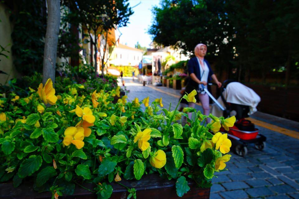 <p>Bahar döneminde cadde ve sokakları portakal çiçeği kokan, Toros Dağları şakayıkla süslenen Antalya, süs bitkileri ihracatında ön sıralarda yer alıyor. </p>

<p> </p>
