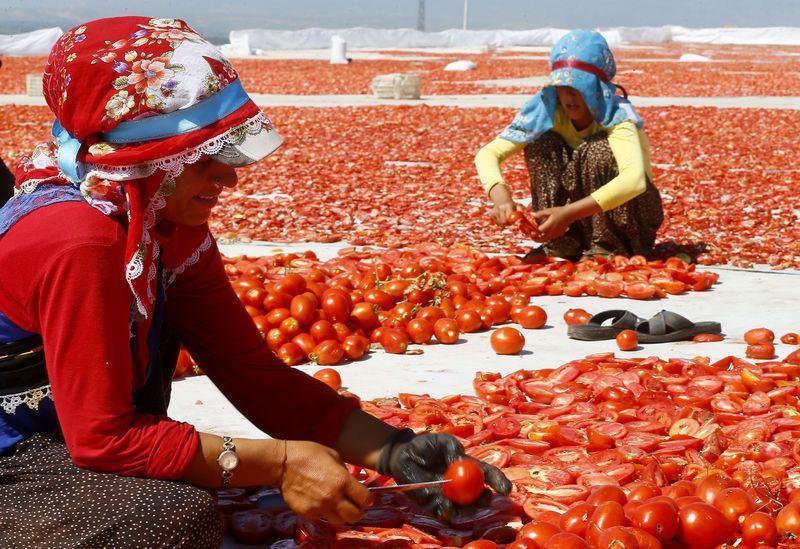 <p>Lezzetiyle dünya mutfaklarının tercih ettikleri ürünler arasında giren kurutulmuş domates, zahmetli bir yolculuğun ardından sofralara ulaşıyor.</p>
