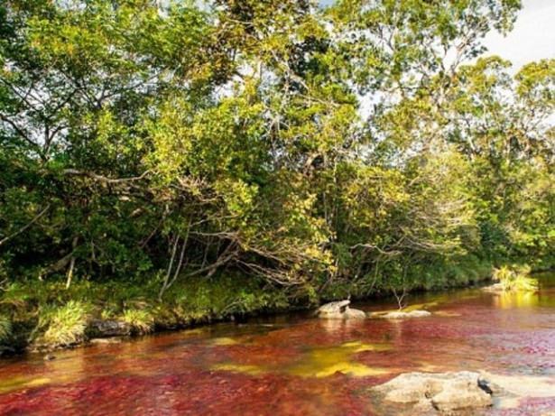 <p>Nehrin genişliği 20 metre, uzunluğu ise 100 kilometredir.</p>

<p>&nbsp;</p>
