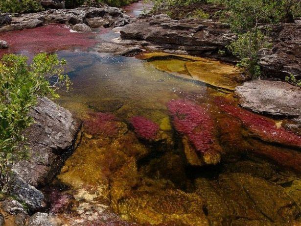 <p>Ca&ntilde;o Cristales'in yakınlarında yol bulunmamaktadır, bu nedenle nehre ulaşım atla sağlanmaktadır.</p>

<p>&nbsp;</p>
