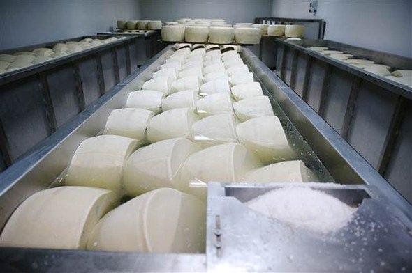 <p>Parmesanın Türkiye'de kullanımının yavaş yavaş arttığını ve pazarın büyüdüğünü ifade eden Sezer, önceki yıllarda genelde toz şeklinde makarna sosu olarak kullanılan parmesanın genel tüketiminin arttığını dile getirdi.</p>