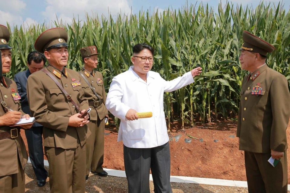 <p>Kuzey Kore lideri Kim Jong-un, Pyonyang yakınlarında bir mısır çiftliğini denetledi.</p>
