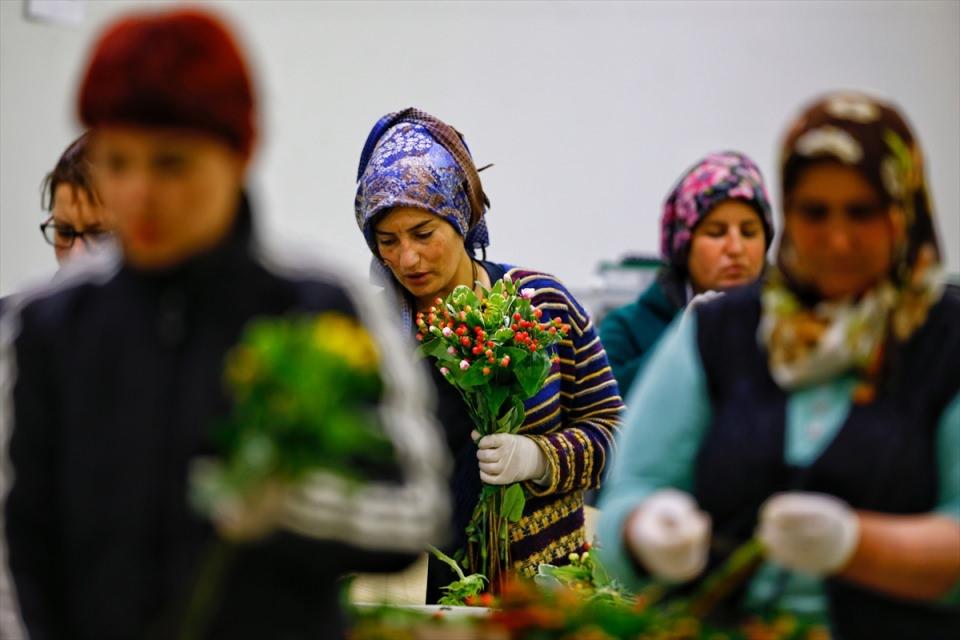 <p>Kesme çiçeğin ana merkezinin Antalya olduğuna dikkati çeken Bağdatlıoğlu, Türkiye'de süs bitkileri seferberliği başladığını bildirdi.</p>
<p> </p>