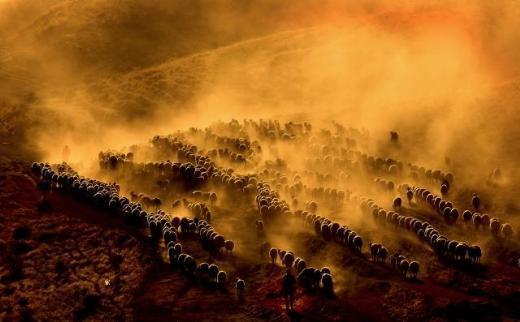 Çevre fotoğrafı ikincisi Ali İhsan Öztürk AA