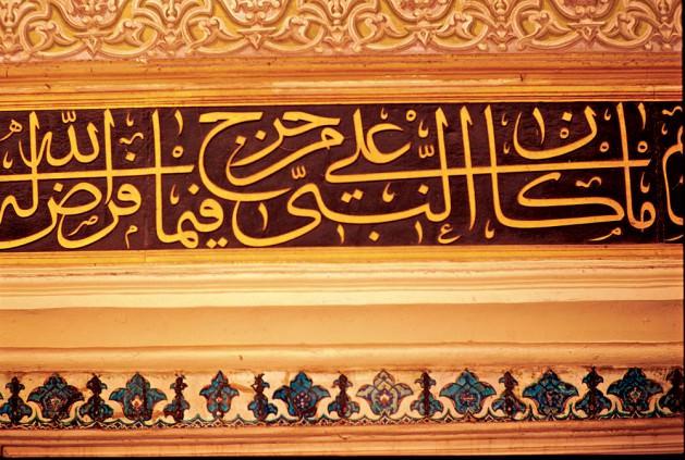 <p class="Normal" style="margin-top: 3pt; margin-bottom: 3pt; margin-right: 0pt; text-align: center; line-height: 16pt;"><span class="Normal__Char" style="font-family: 'Traditional Naskh','Arial'; font-size: 11pt; text-decoration: none;" dir="RTL">وَيَسْأَلُونَكَ عَنِ الْيَتَامَى قُلْ إِصْلَاحٌ لَهُمْ خَيْرٌ وَإِنْ تُخَالِطُوهُمْ فَإِخْوَانُكُمْ وَاللَّهُ يَعْلَمُ الْمُفْسِدَ مِنَ الْمُصْلِحِ</span></p>
<p class="Normal" style="margin-top: 3pt; margin-bottom: 3pt; margin-right: 0pt; text-align: center; line-height: 16pt;"><span class="Normal__Char" style="font-family: 'Segoe UI','Arial'; font-size: 11pt; font-style: italic; text-decoration: none;">“</span><span class="Normal__Char" style="font-family: 'Segoe UI','Arial'; font-size: 11pt; font-style: italic;">Sana yetimlerden soruyorlar. De ki: Onlar için ıslah (yani, onların işini en uygun biçimde çekip çevirmek, Allah korkusu ile onları kaderlerine terk etmekten) daha hayırlıdır. Eğer kendileriyle bir arada yaşıyorsanız, onlar sizin kardeşlerinizdir. Kimin bozucu kimin düzeltici olduğunu Allah bilir!..”</span><span class="Normal__Char" style="font-family: 'Segoe UI','Arial'; font-size: 9pt;">(Bakara 2/220)</span></p>