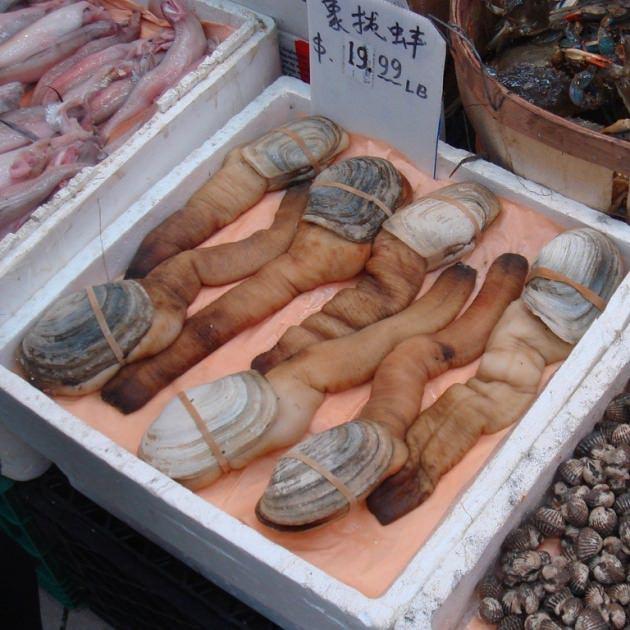 <p>Hong Kong, Pekin ve Tokyo 'daki lüks restoranlarda oldukça rağbet gören geoduckun kilosu 30 dolardan satılıyor.</p>