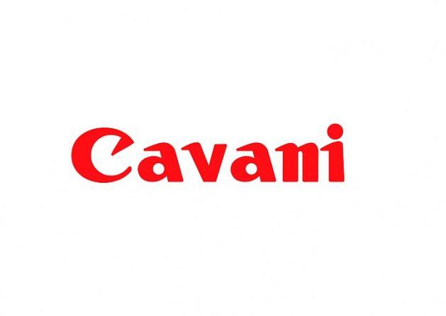 <p>Canon'un yüz tanıma, Cavani'nin mesafe tanımama özelliği var.</p>