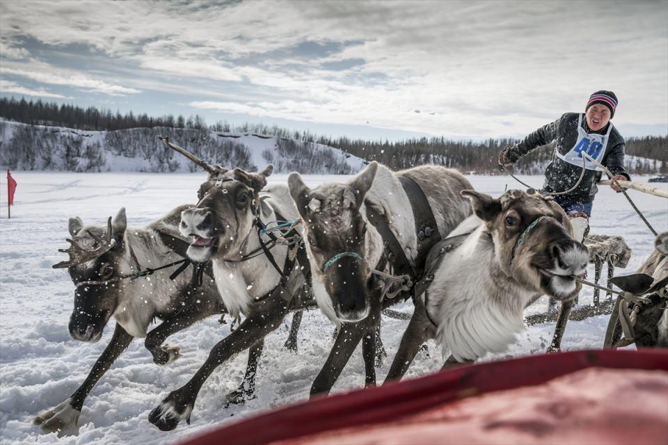 <p>Rusya'nın kuzeyinde, Moskova'ya 2bin 500 kilometre mesafedeki Yamal-Nenets bölgesi Priuralsky ilçesine bağlı Aksarka köyünde Ren geyiği çobanları günü kutlamaları gerçekleşti. Aksarka halkı, yarışlar ve kültürel etkinliklerle kutlamalara renk kattı. </p>