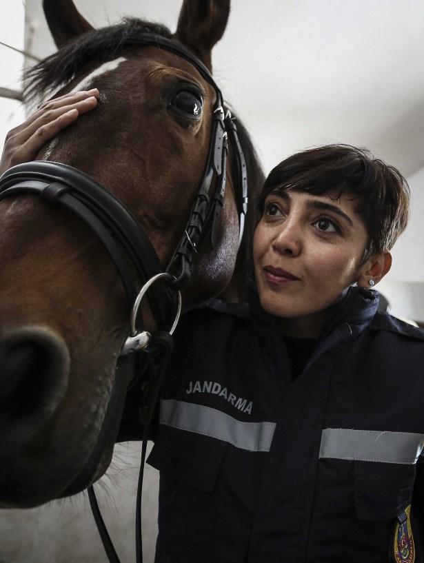 <p>"İngiltere'de caddelerde gördüğüm atlı devriyeler ve kadın biniciler dikkatimi çekti. Jandarma Genel Komutanlığında göreve başladıktan sonra böyle bir birimin olduğunu öğrenince başvuruda bulundum. Ardından JAKEM Komutanlığına binici personel adayı olarak başvuruda bulunarak yapılan sınav ve mülakatlardaki başarımla temel binicilik kursu almaya hak kazandım. Burada 8,5 ay süreyle temel binicilik eğitimi aldım. Kurs süresi boyunca herkesin sorumluluğuna bir at verildi. İlk olarak ata nasıl yaklaşmamız gerektiğini, tımarını nasıl yapacağımızı, binici ve at için malzemelerin neler olduğunu öğrenmekle başladık. Sonraki süreçlerde temel binicilik teknikleri ve ileri binicilik teknikleri öğrenerek kursumuzu başarıyla tamamladık."</p>
