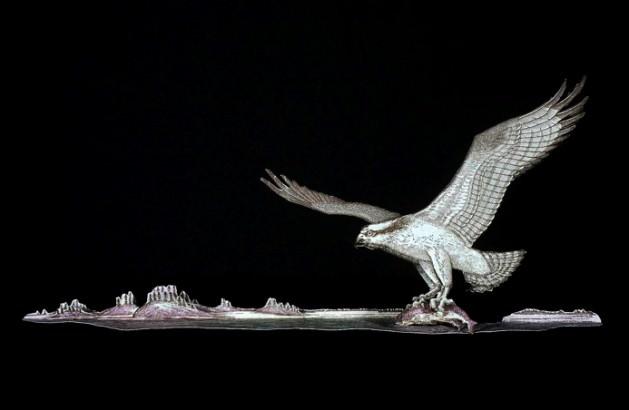 Ornithological Series (Osprey), Ornitoloji Serisi 