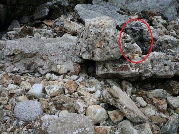 <p>Meğer buradaymış!</p>

<p> </p>
