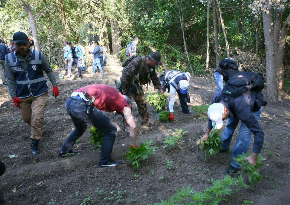 <p>Hazırlıkların ardından elde edilen bilgiler doğrultusunda UNESCO Dünya Kültürü Mirası listesinde yer alan Hevsel Bahçelerine geçen özel hareket timlerinin de bulunduğu güvenlik güçleri, havadan helikopter desteğiyle 40 bahçede arama yaptı. </p>
