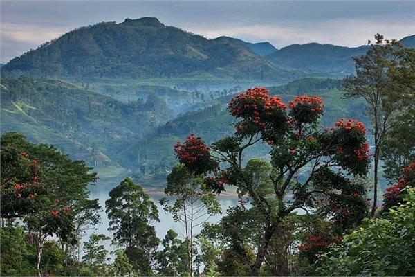 <p><strong>Sri Lanka</strong></p>

<p>Güney Asya</p>
